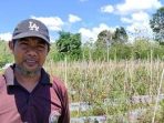 manok petani manok petani